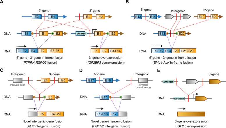 PMC12506512 – fig0005