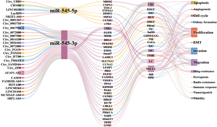 PMC11252520 – fig1