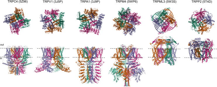 PMC12799467 – fig1