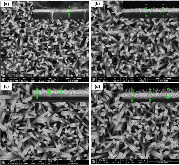 PMC5362154 – f0005