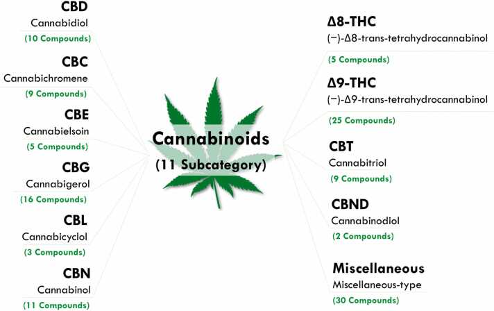 PMC11763173 – fig0005