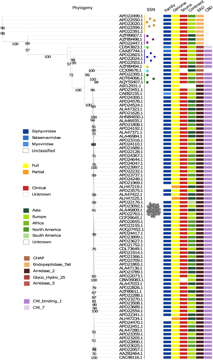PMC11525621 – fig1
