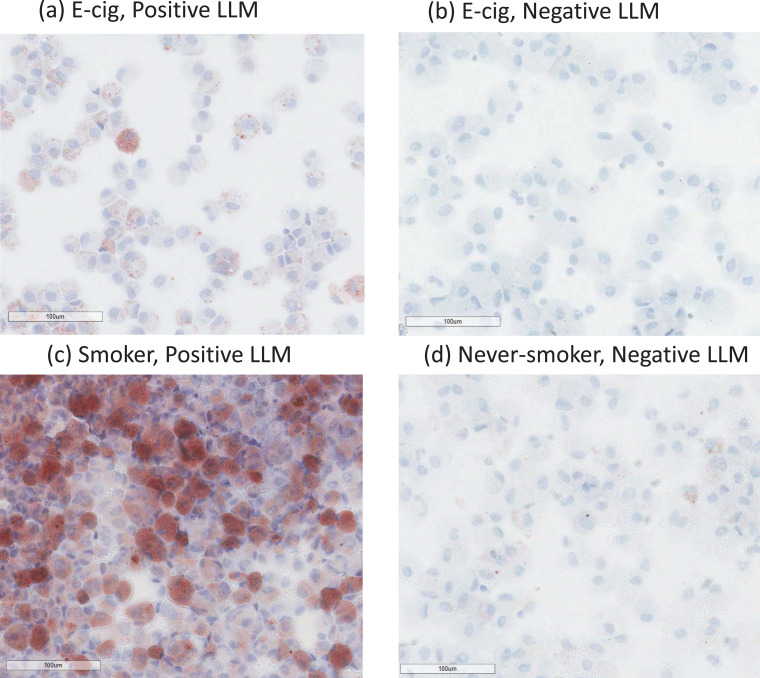 PMC7494450 – fig0001