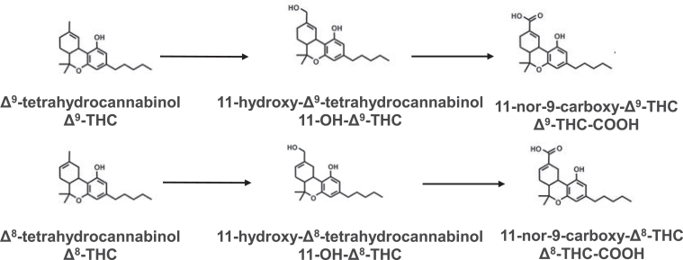 PMC12597552 – fig1