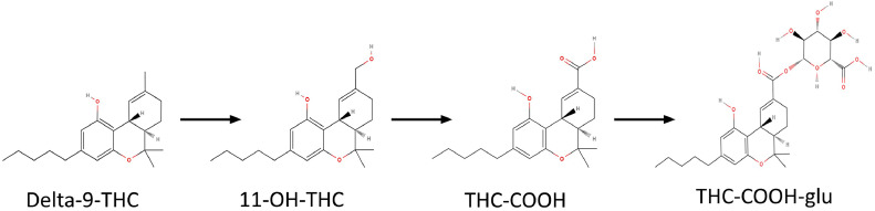 PMC11480513 – fig0001