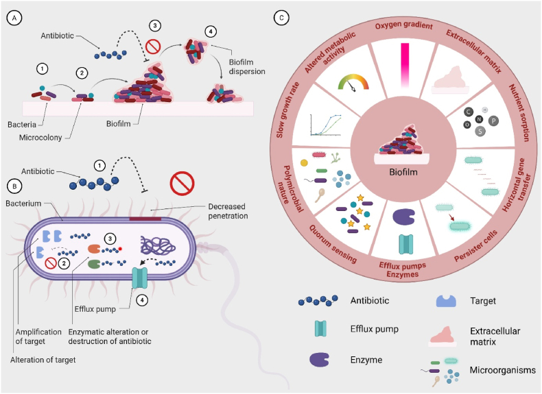 PMC12808496 – fig1