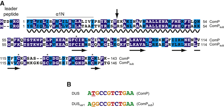PMC4906244 – fig1