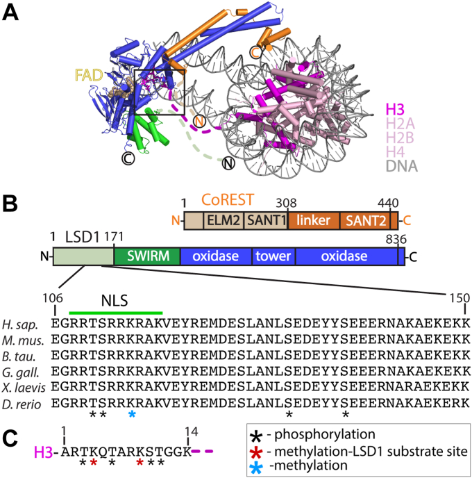 PMC11388019 – fig1