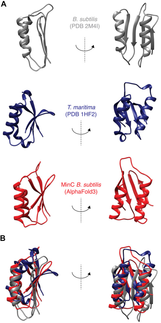 PMC11938149 – fig1