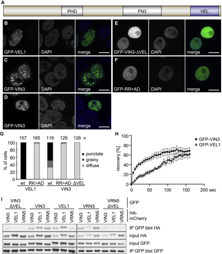 PMC7614096 – fig1