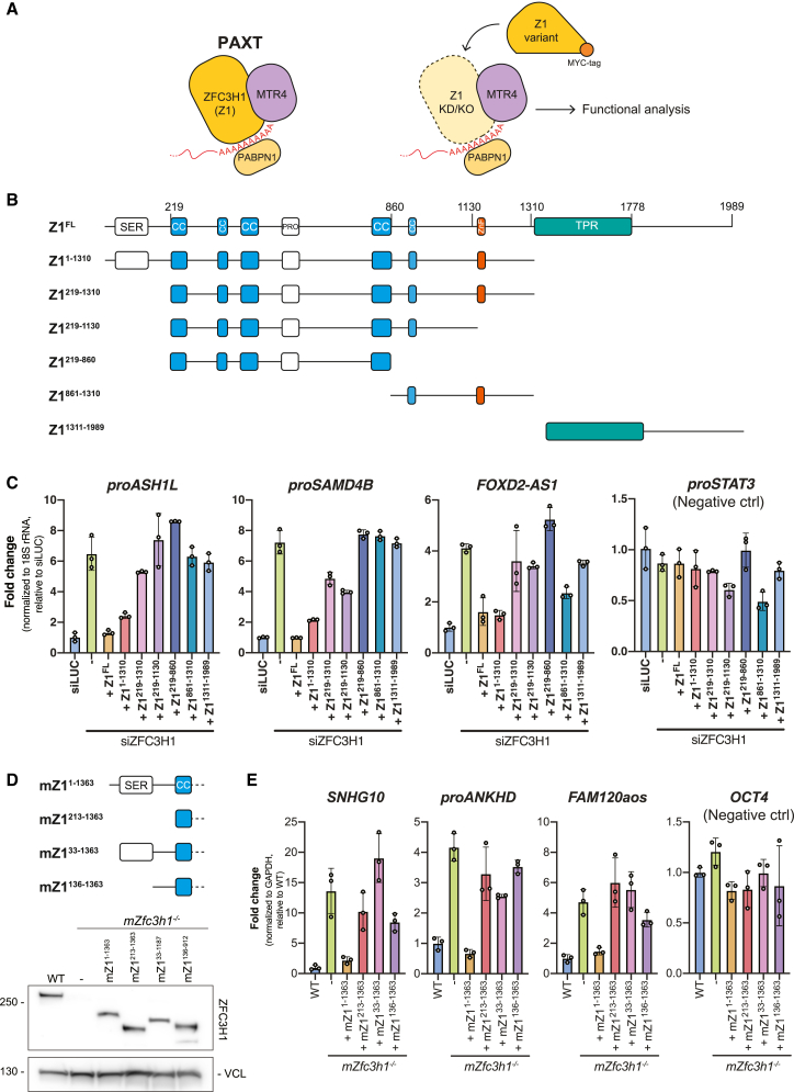 PMC10720265 – fig1