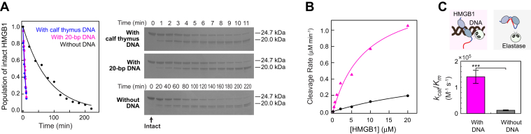 PMC9664404 – fig1