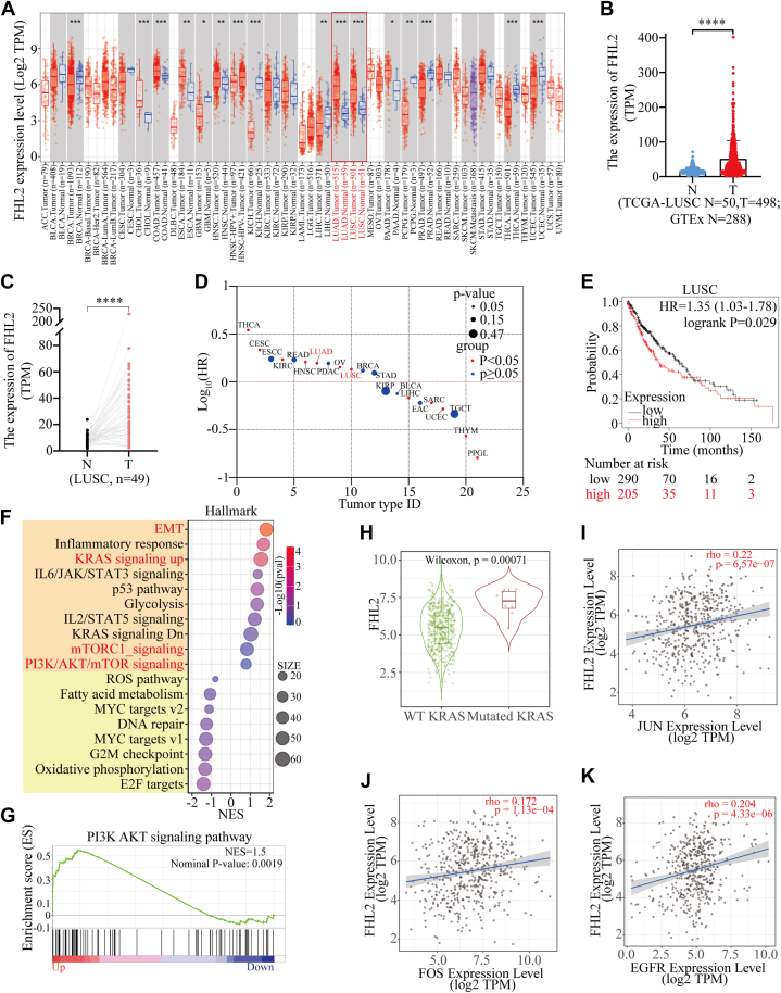 PMC12269609 – fig1