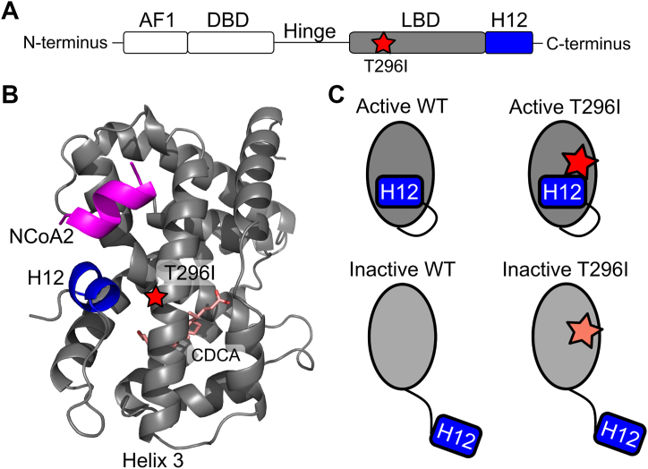 PMC12605006 – fig1