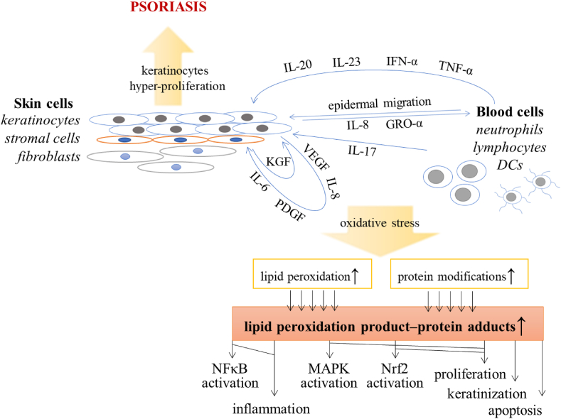 PMC10195986 – fig1