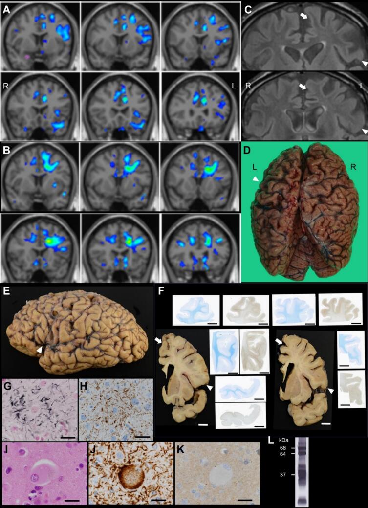 PMC11414697 – f0005