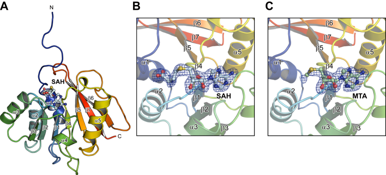 PMC12139422 – fig1