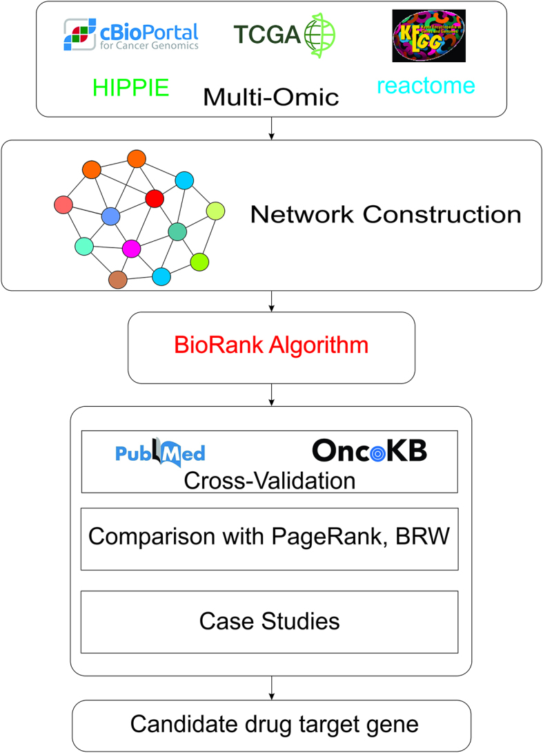 PMC12546976 – fig0005