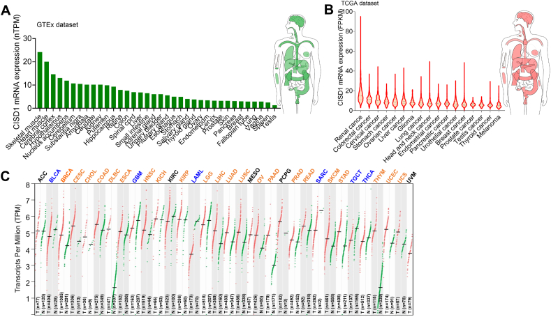 PMC12359157 – fig1