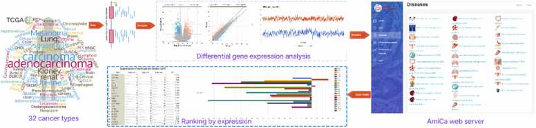 PMC11152612 – fig0005