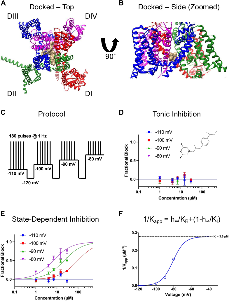 PMC12004706 – fig1