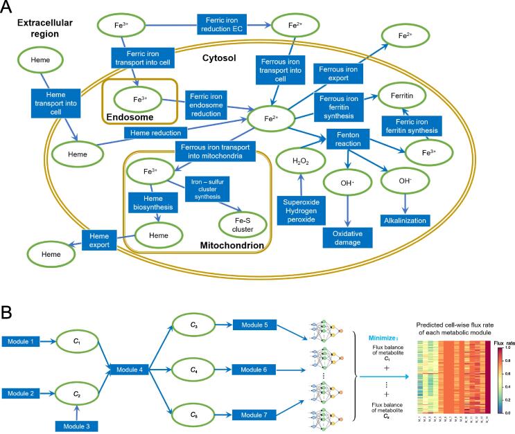 PMC11082410 – f0005