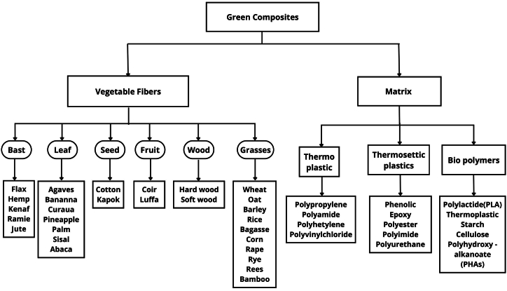 PMC11783020 – fig1