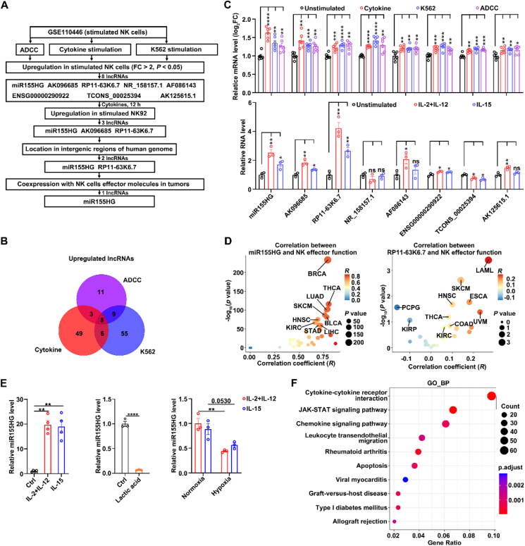 PMC12138116 – fig1