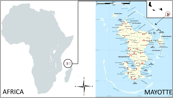 PMC11334832 – fig1