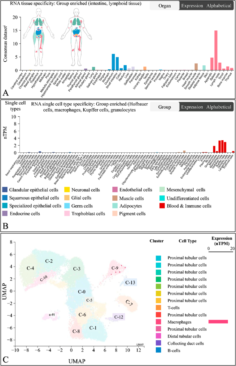 PMC10803920 – fig1