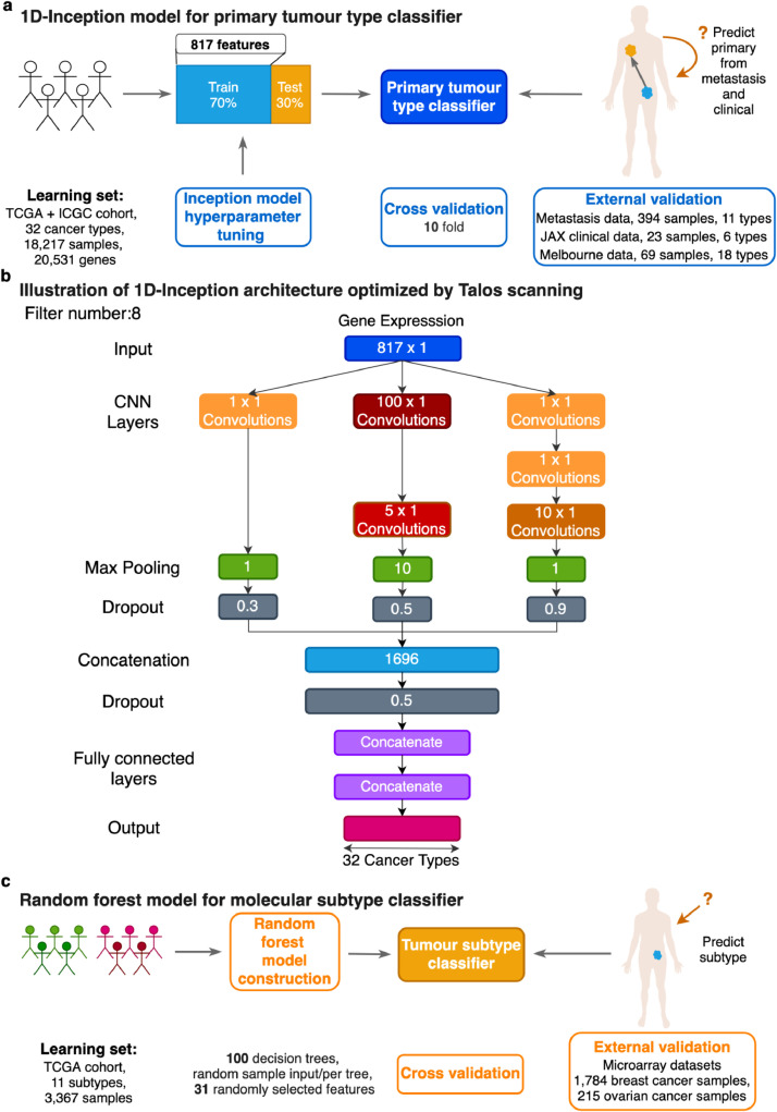 PMC7553237 – fig0001
