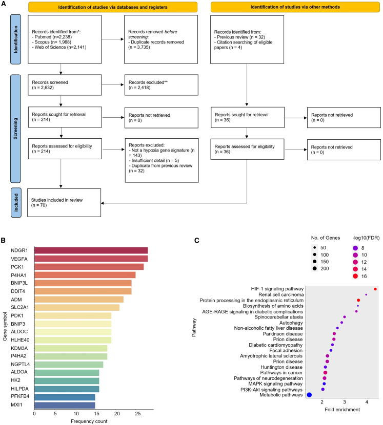 PMC11872601 – fig1