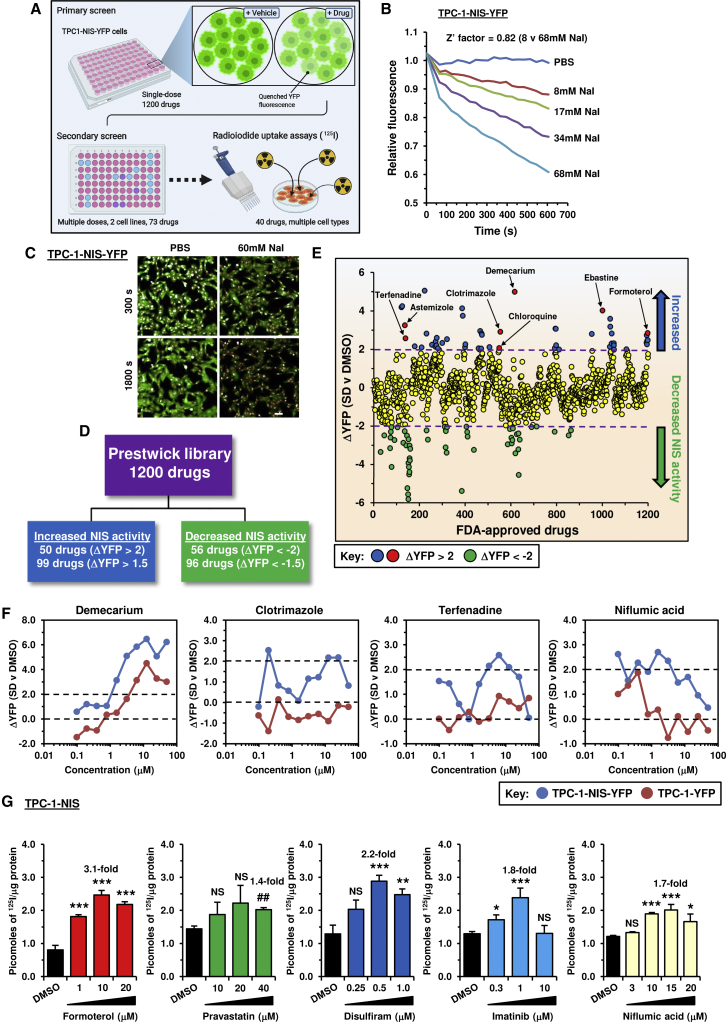 PMC8958605 – fig1