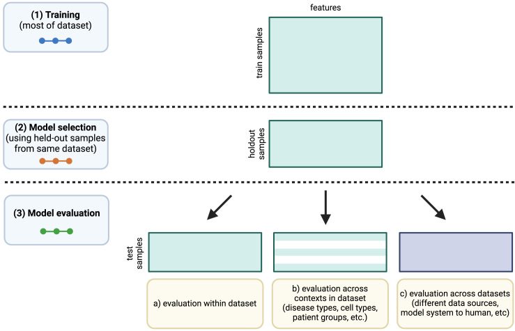 PMC11701843 – fig1