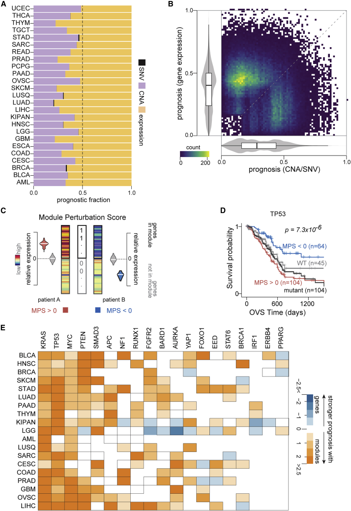 PMC10025453 – fig1