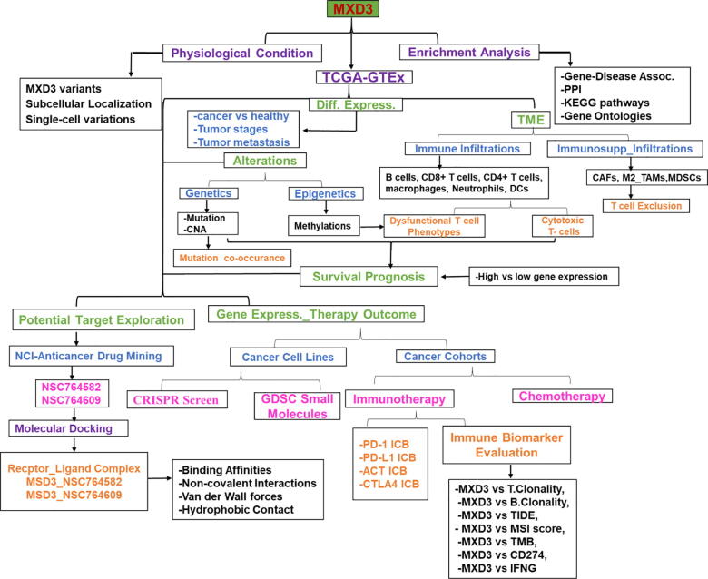 PMC8441106 – f0005