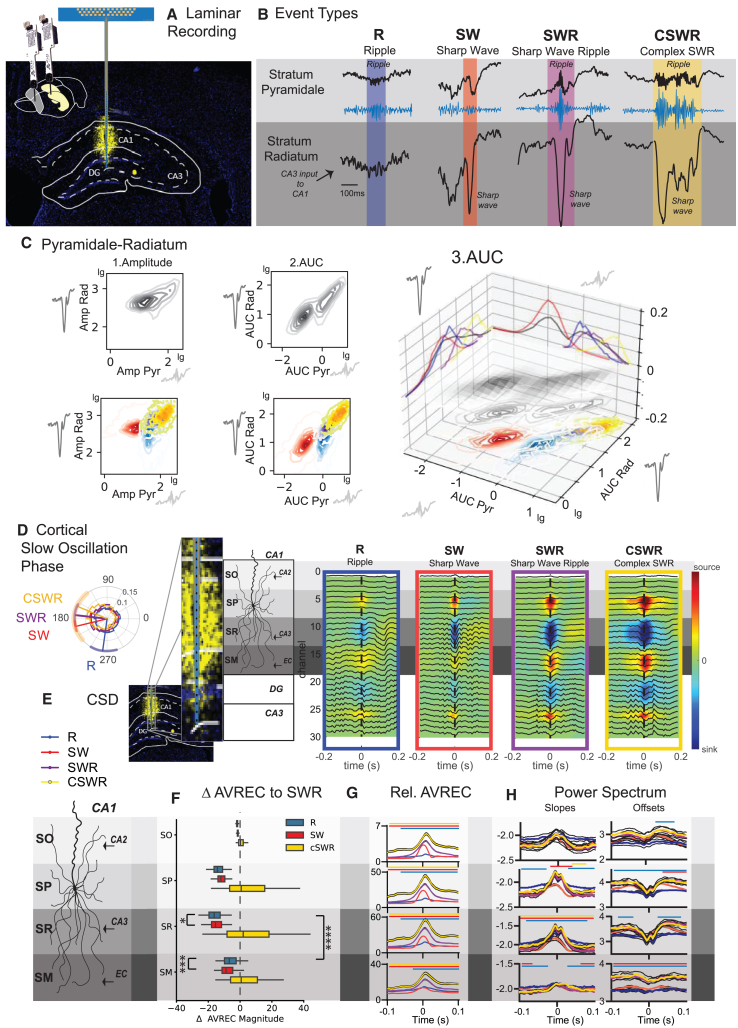 PMC11834075 – fig1
