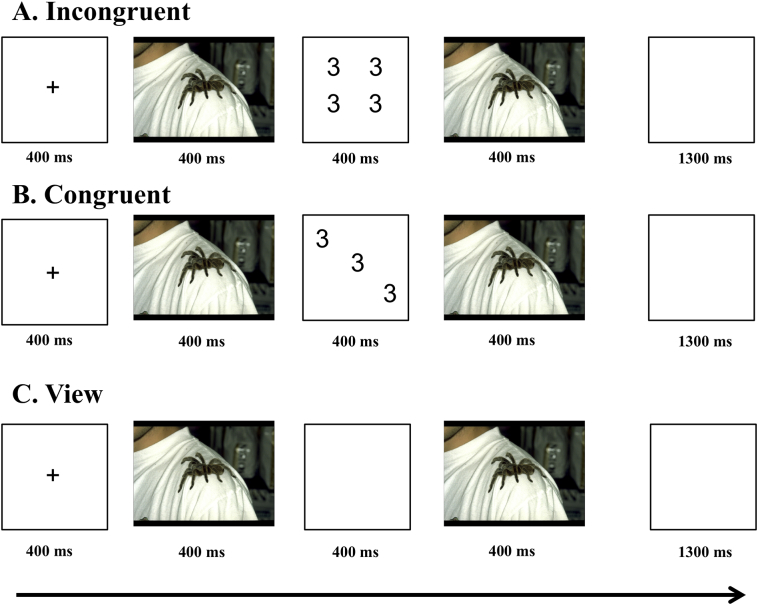 PMC6031867 – f0005