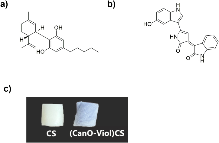 PMC11334822 – fig1