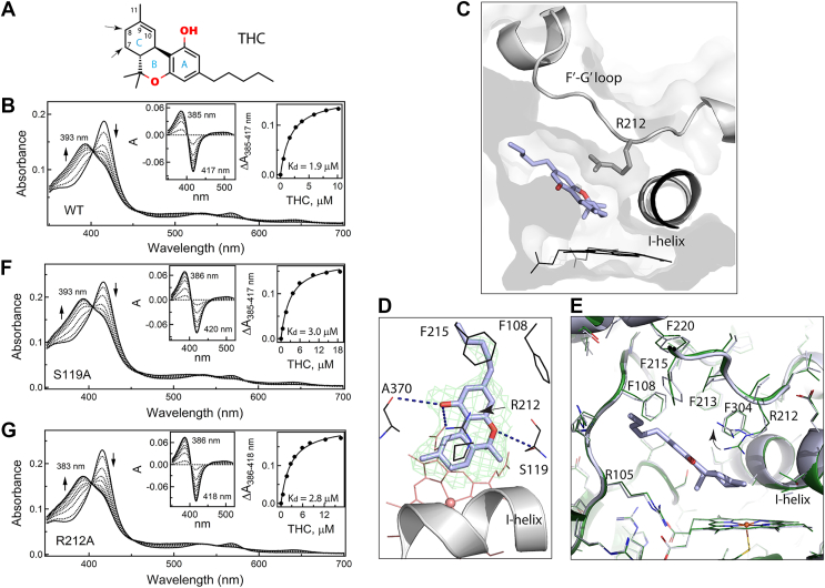 PMC12538432 – fig1