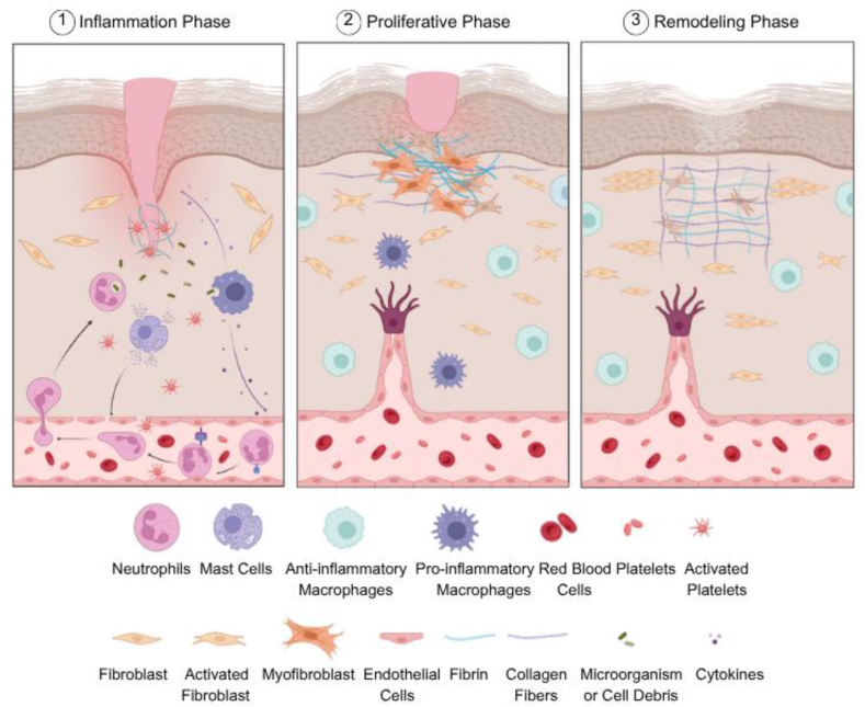 PMC13104654 – fig1