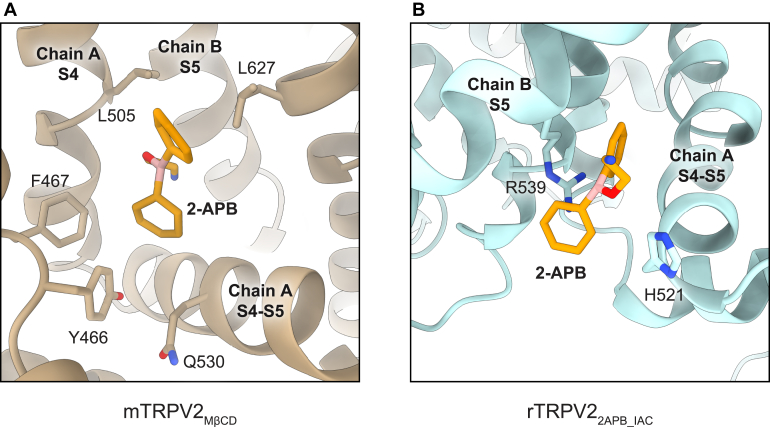 PMC12489355 – fig1