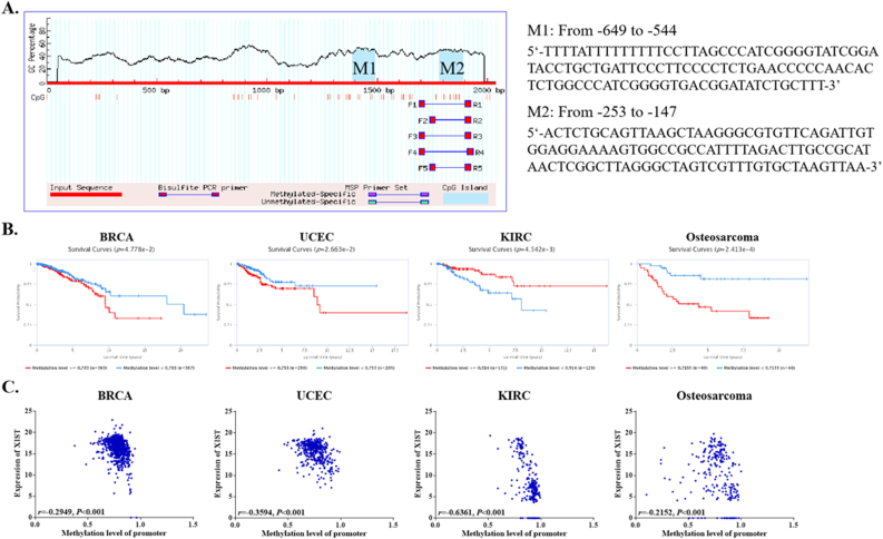 PMC9535293 – fig10