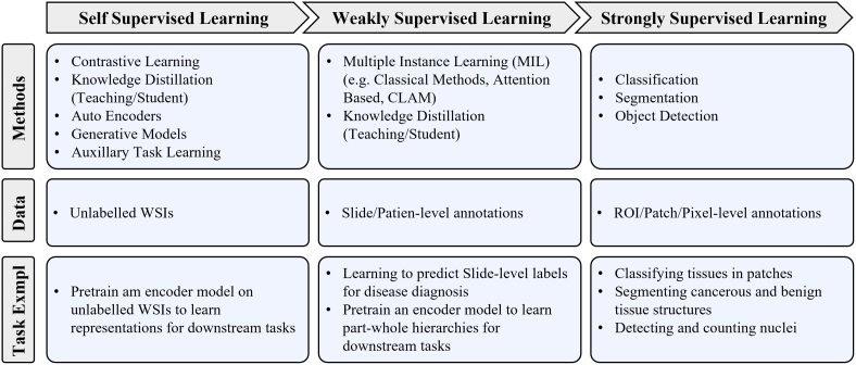 PMC10900832 – f0055