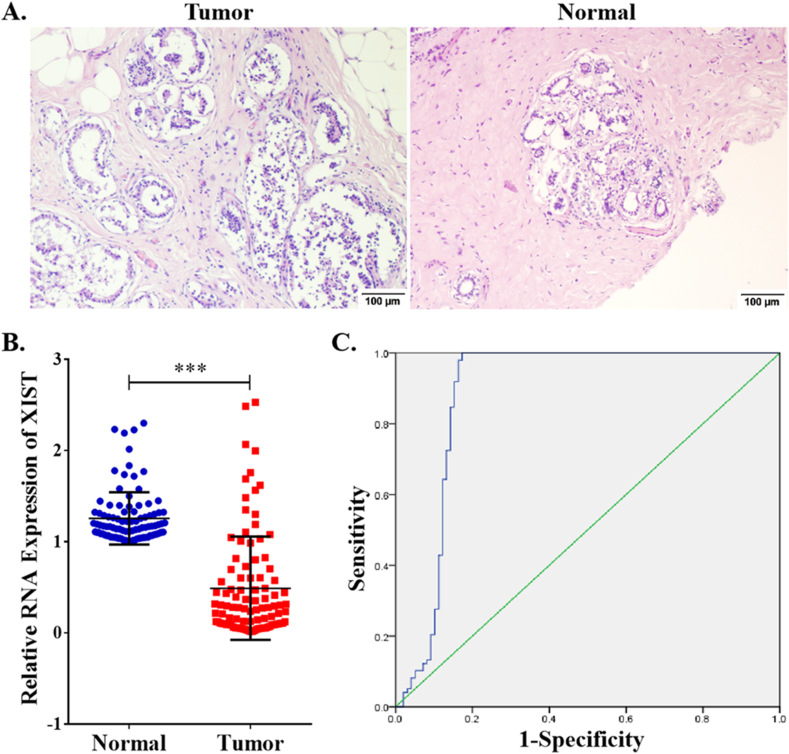 PMC9535293 – fig11