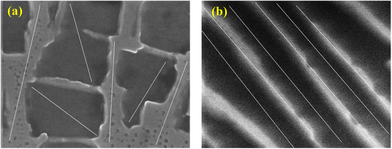 PMC8669314 – fig12