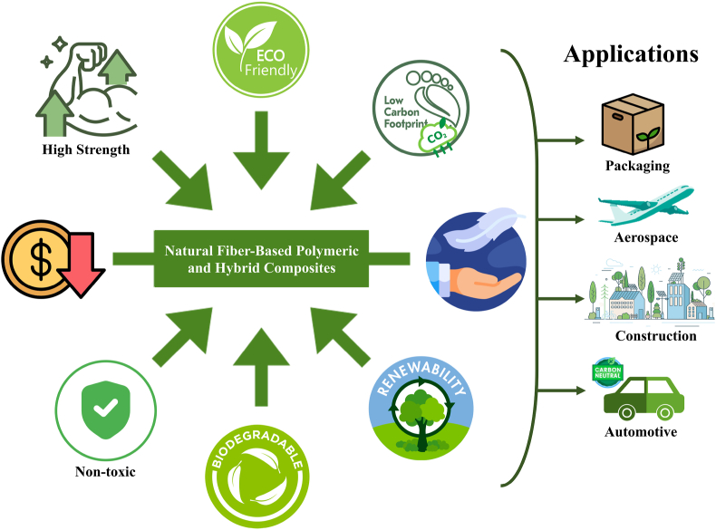 PMC11467618 – fig13