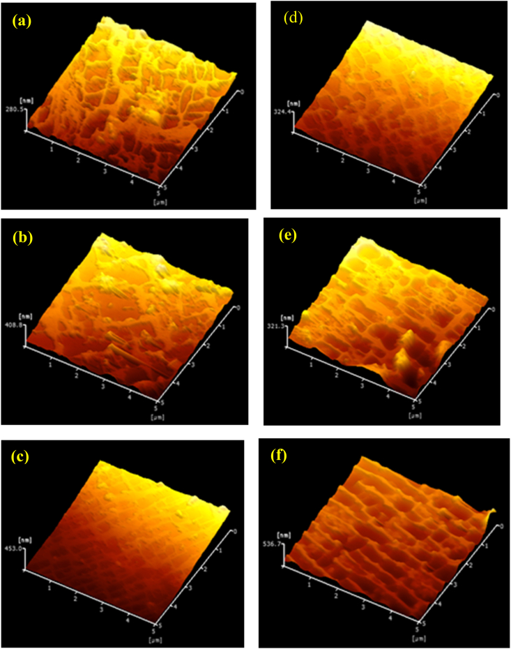 PMC8669314 – fig16