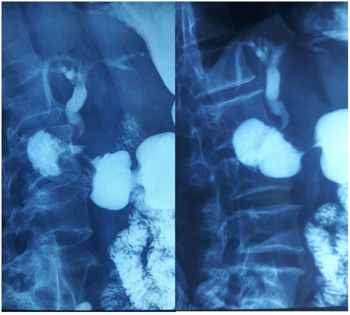 PMC11584767 – f0010