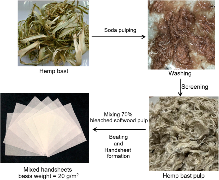 PMC10850592 – fig2